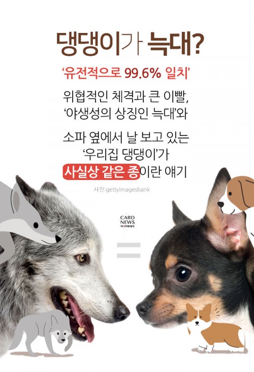 카드 뉴스 이미지