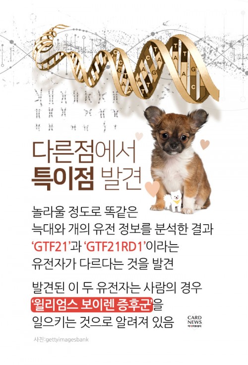 카드 뉴스 이미지