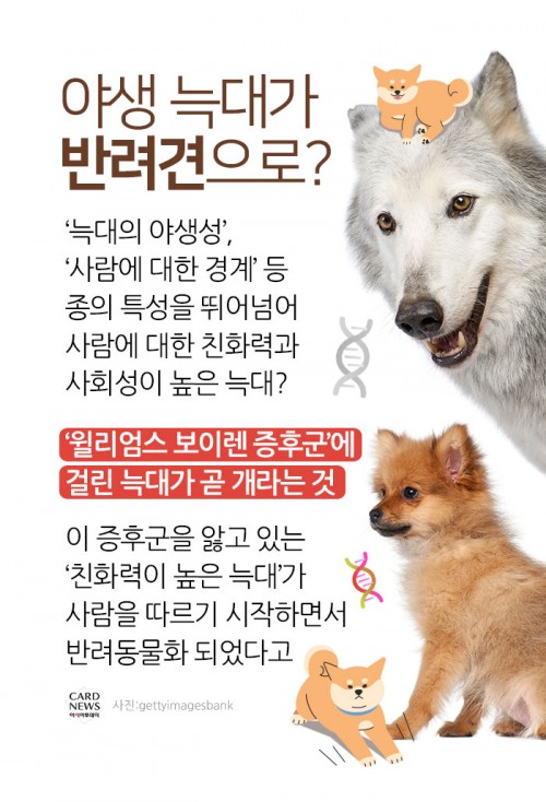 카드 뉴스 이미지