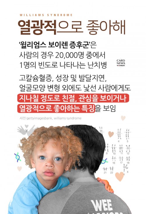 카드 뉴스 이미지