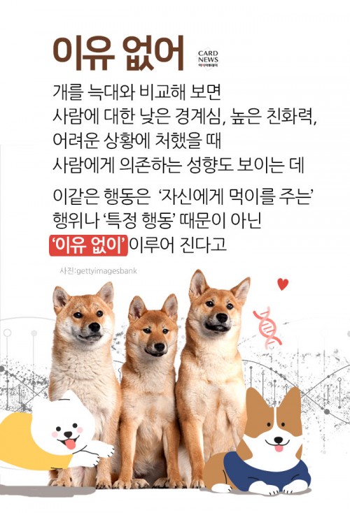 카드 뉴스 이미지
