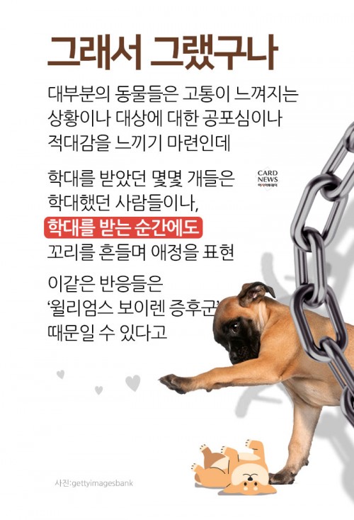 카드 뉴스 이미지