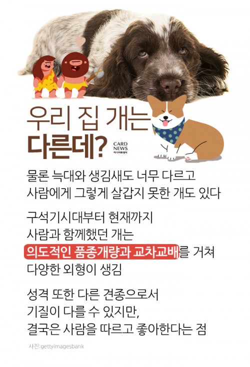카드 뉴스 이미지