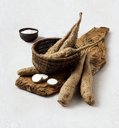 0328-5_안동산약(마)_지역특화작목으로_육성발전