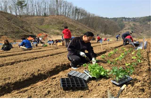 주말농장