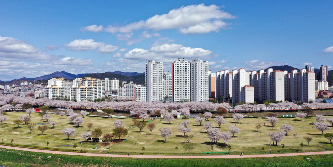 20210328 삼문동 둔치 벚꽃길-2