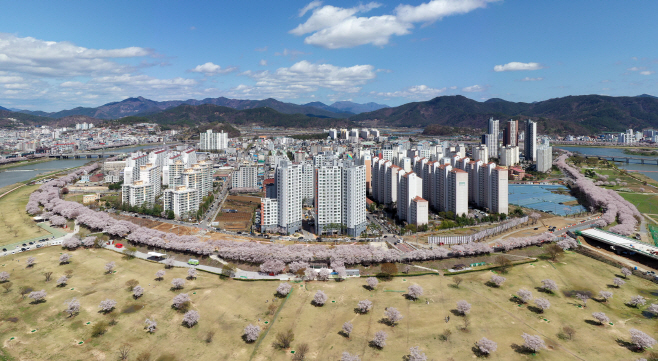 20210328 삼문동 둔치 벚꽃길-1
