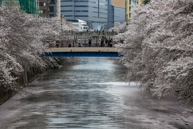 Virus Outbreak Japan Daily Life <YONHAP NO-3661> (AP)