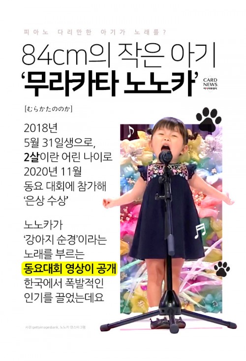 카드 뉴스 이미지