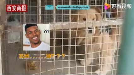 clip20210331133818