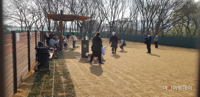 구리시, 장자호수생태공원 반려동물 놀이터 광경