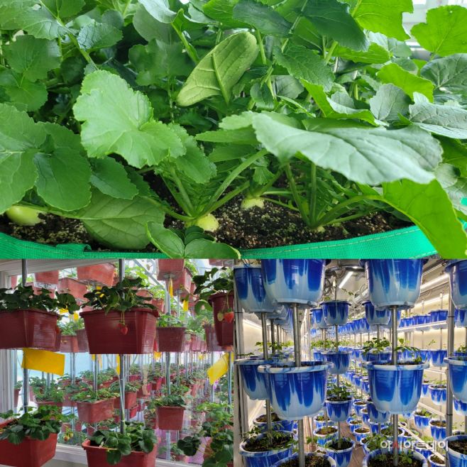 KakaoTalk_20210405_012218402