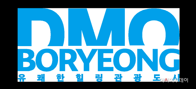 1. DMO - 보령축제관광재단