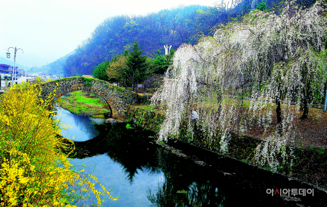 안녕 자연의 창녕에 특별한 한달나기 1차 참가자 모집(1)