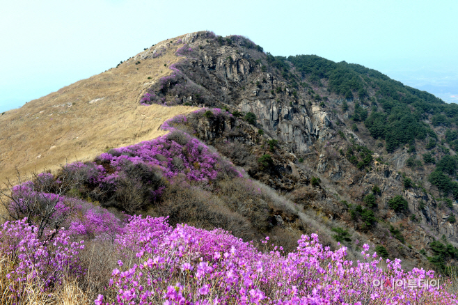 안녕 자연의 창녕에 특별한 한달나기 1차 참가자 모집(3)