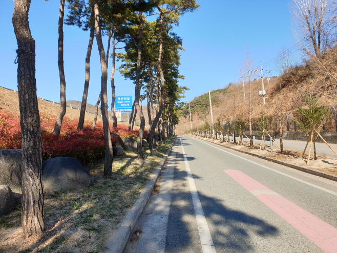 북안경계 숲