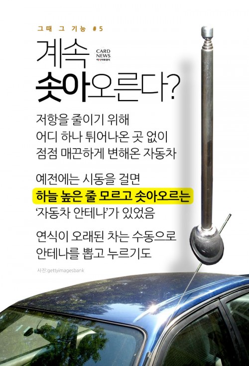 카드 뉴스 이미지