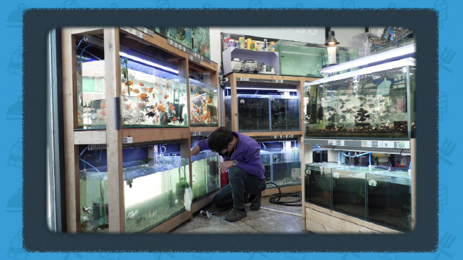 지난해 제작된 '힘내라 포항 소상공인' 콘텐츠 영상/제공=포항