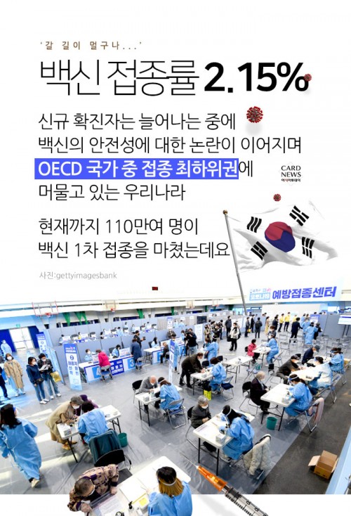 카드 뉴스 이미지