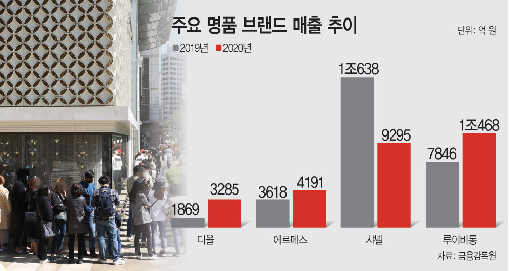 그래픽