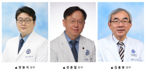 장원석 강훈철 김흥동 교수