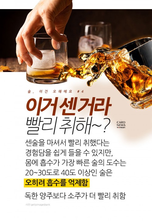 카드 뉴스 이미지