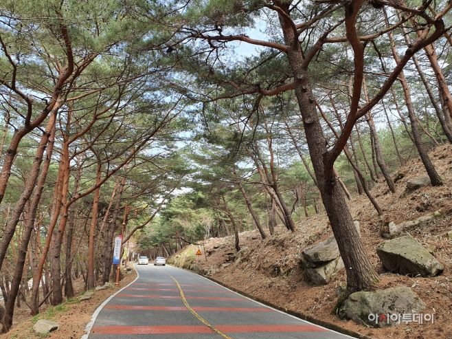 무풍한송길 건너편(20ha)-사업완료