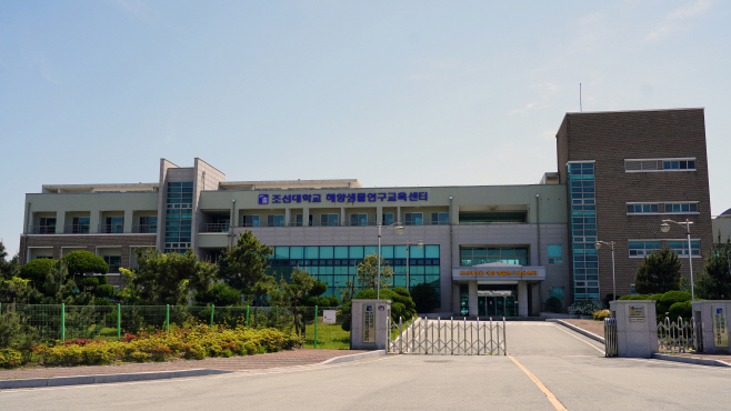 완도군
