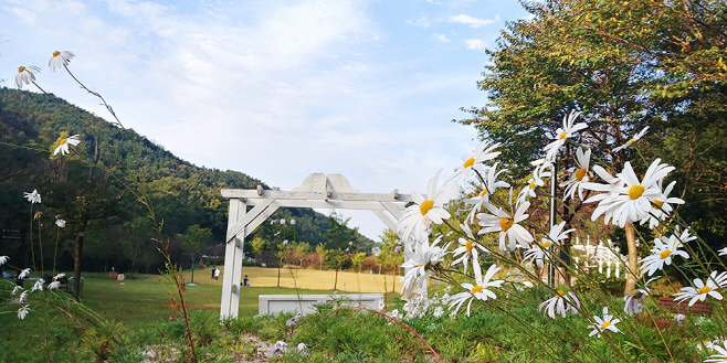 상당산성자연휴양림 가족놀이터