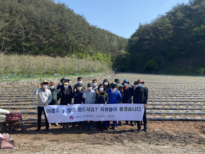 2-2. 사진(영양군 공무원, 농촌일손돕기에 구슬땀)