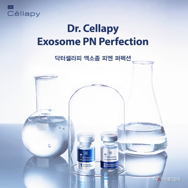 엑소좀피엔퍼펙션