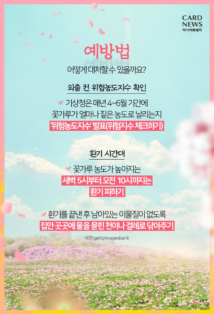 카드 뉴스 이미지