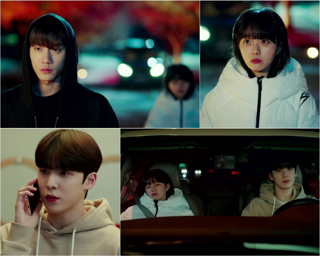 이미테이션