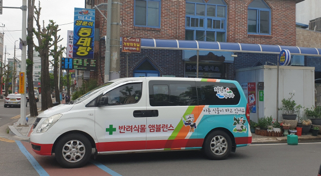 반려식물 앰뷸런스1