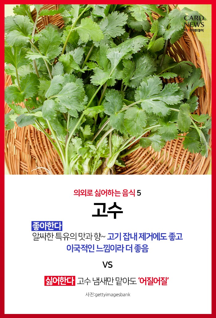 카드 뉴스 이미지