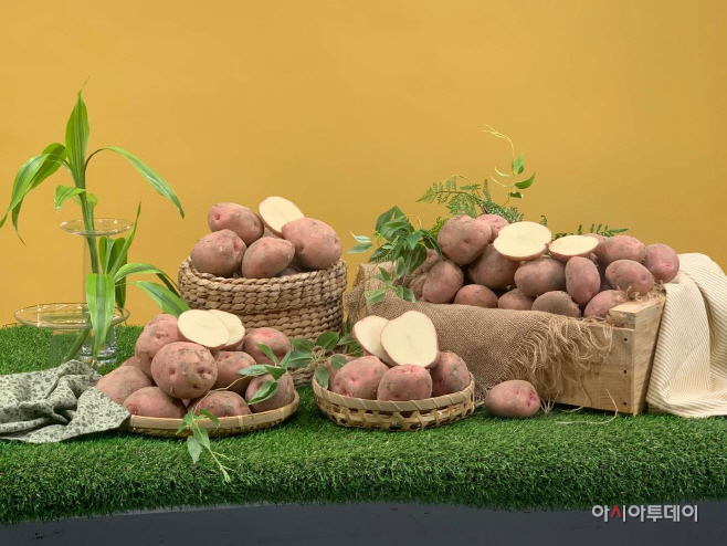 밀양 서홍감자, NS홈쇼핑과 만난다