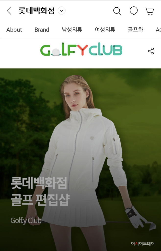 골프 y