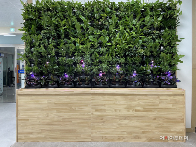 청양군, 청양읍사무소에 공기정화용 스마트가든볼 설치2