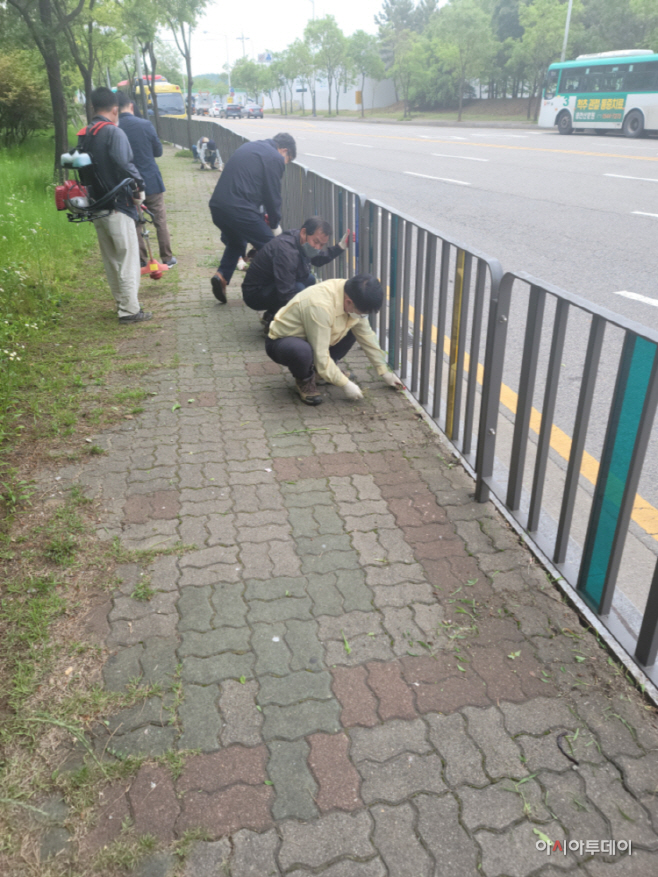 137.안산시 상록구 우기 전, 주요도로 보도구간 잡초 제거