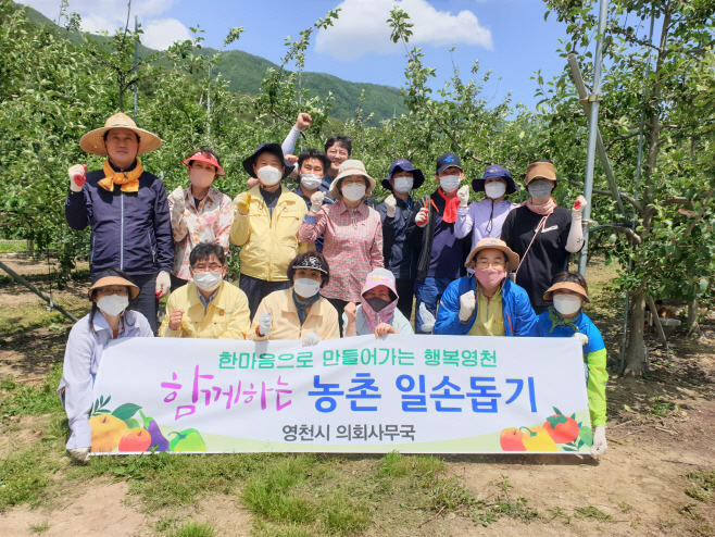 농촌일손돕기_영천시 의회사무국