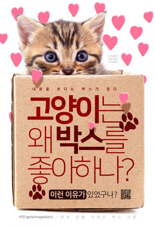 카드 뉴스 이미지