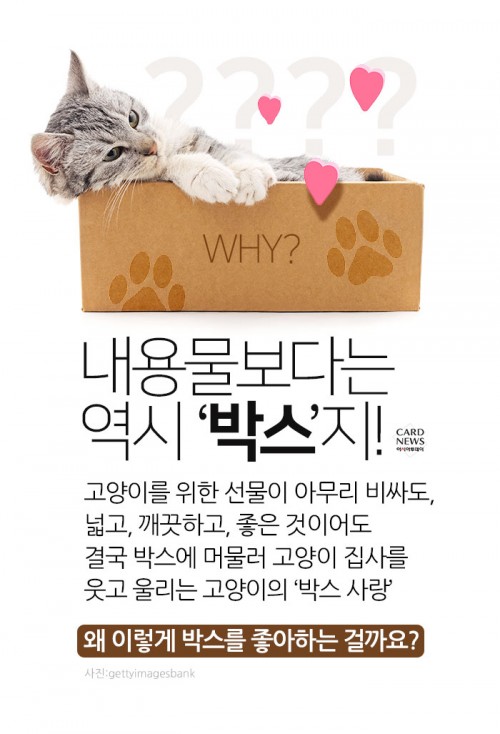 카드 뉴스 이미지