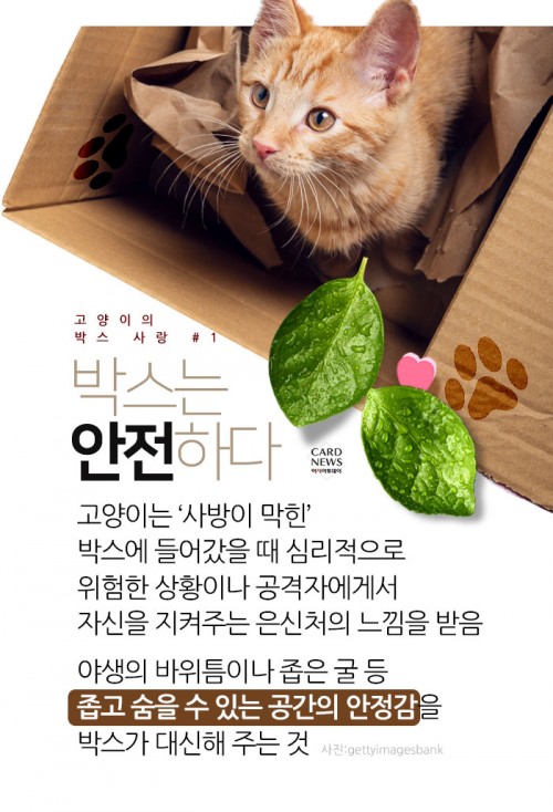 카드 뉴스 이미지