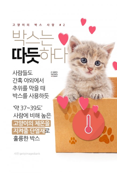 카드 뉴스 이미지