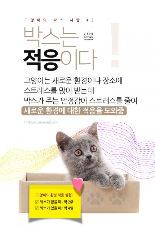 카드 뉴스 이미지