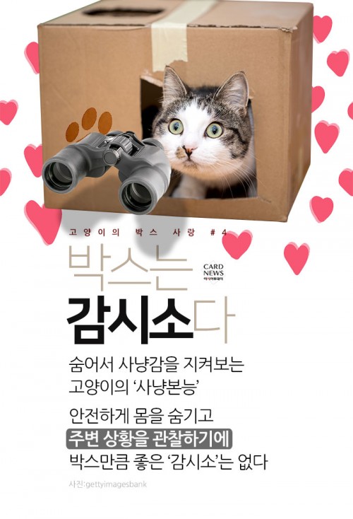 카드 뉴스 이미지