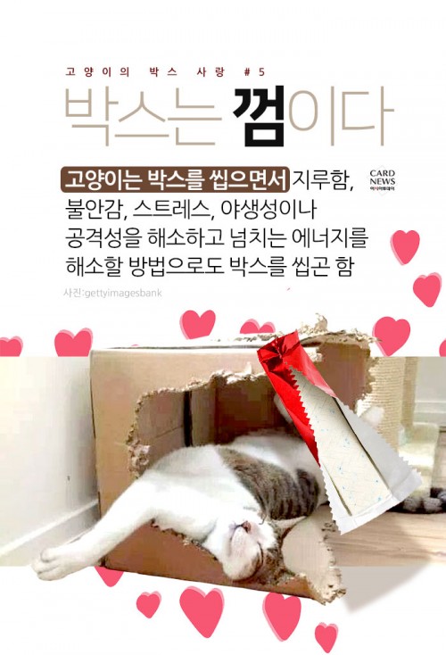 카드 뉴스 이미지