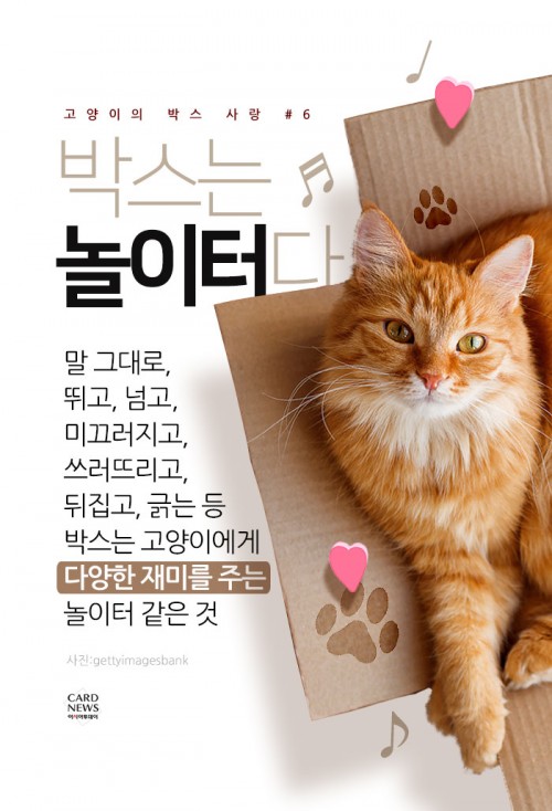카드 뉴스 이미지