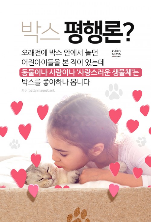 카드 뉴스 이미지