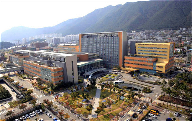 사본 -양부대병원일반사진1